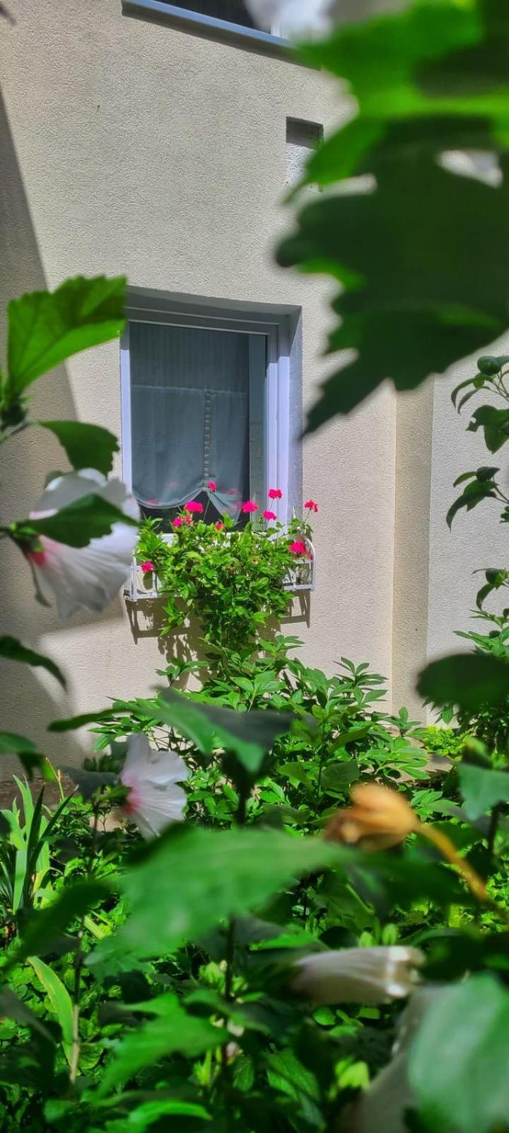 Anna'S Guesthouse Kluż-Napoka Zewnętrze zdjęcie