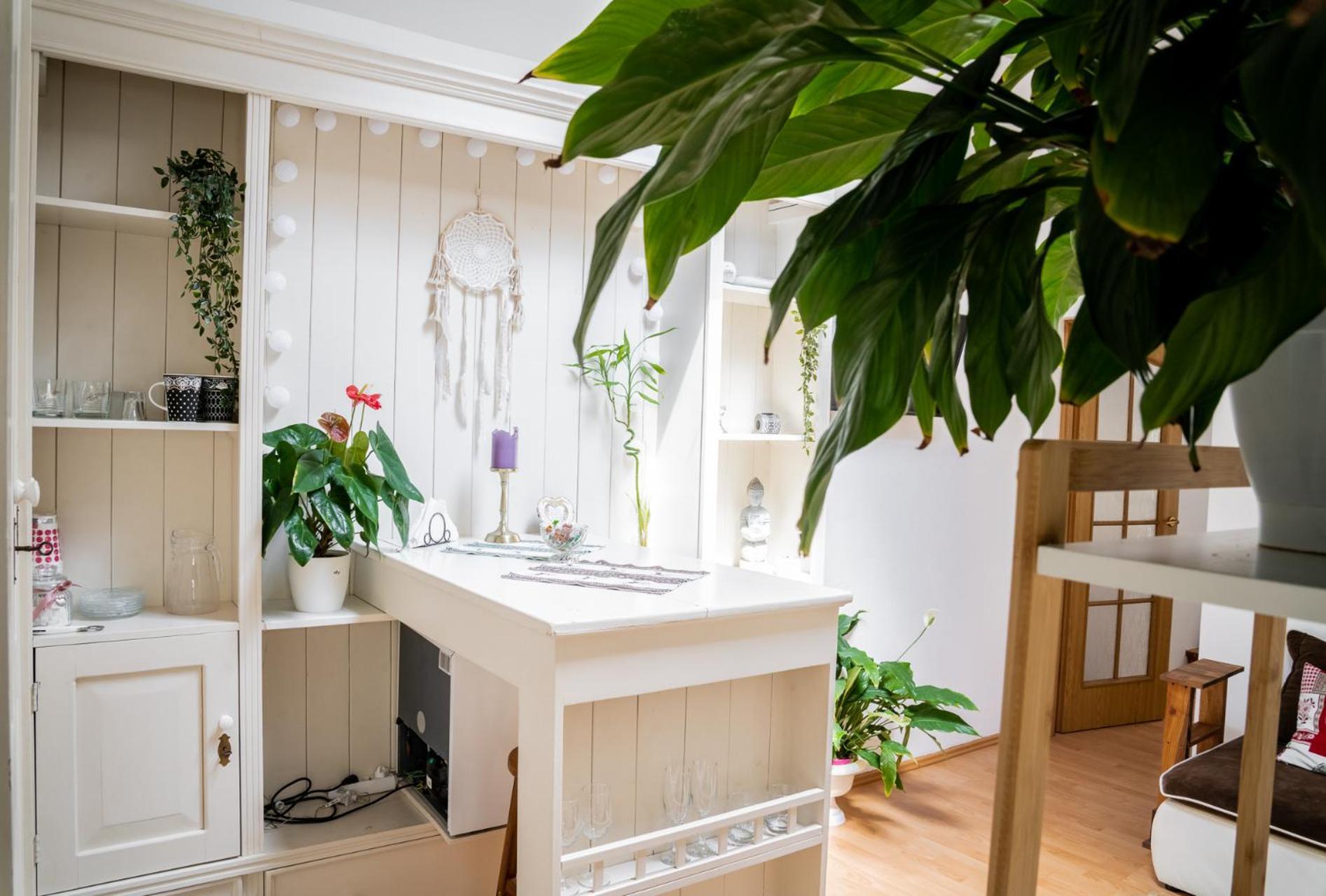 Anna'S Guesthouse Kluż-Napoka Zewnętrze zdjęcie