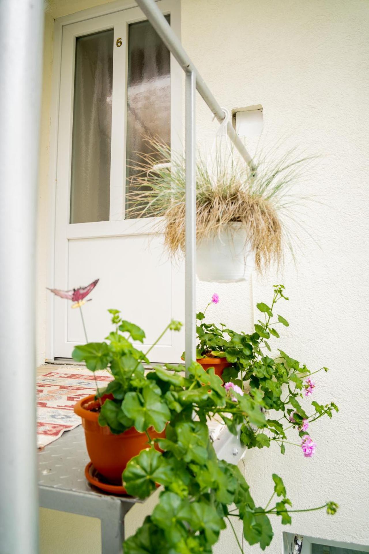 Anna'S Guesthouse Kluż-Napoka Zewnętrze zdjęcie