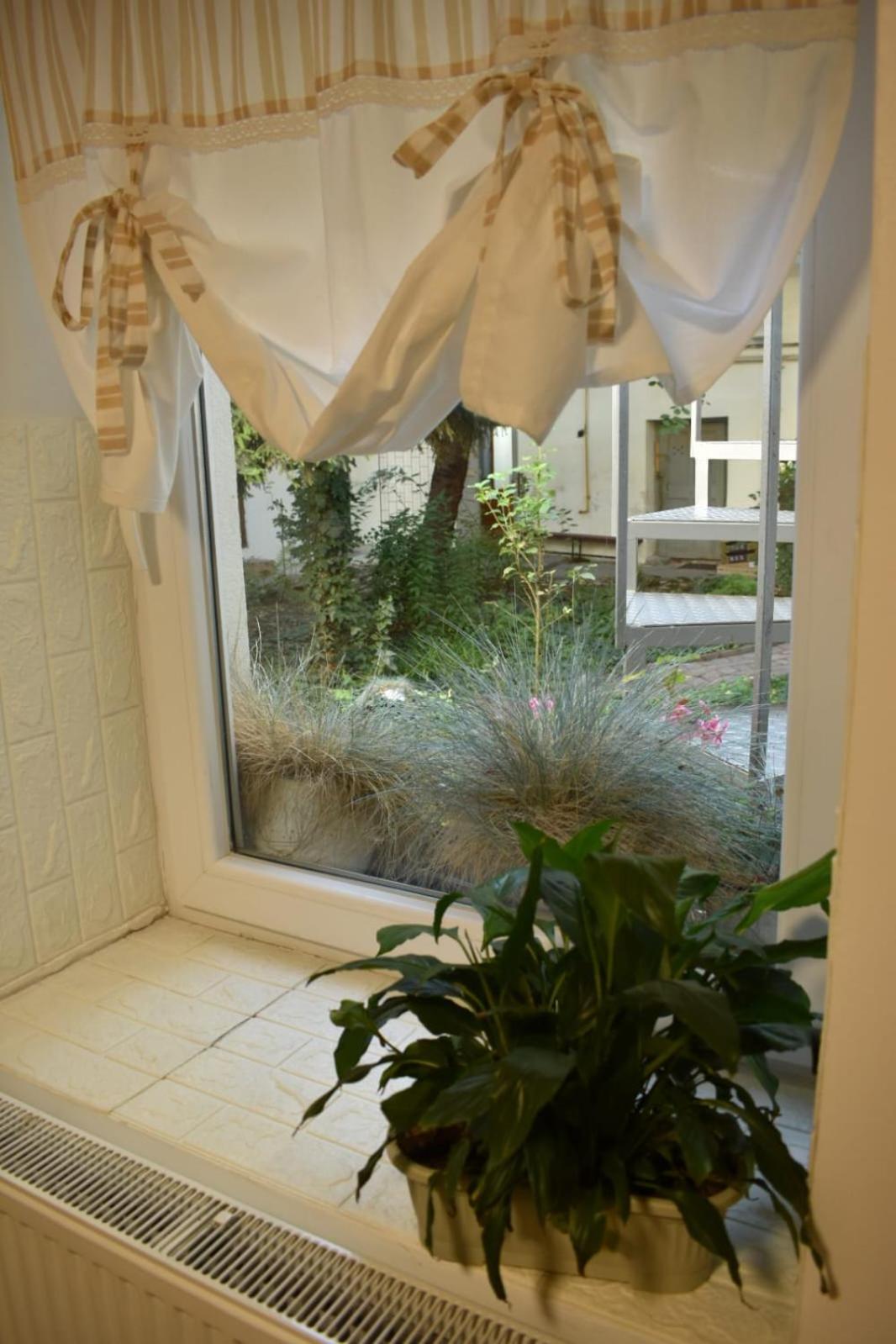 Anna'S Guesthouse Kluż-Napoka Zewnętrze zdjęcie