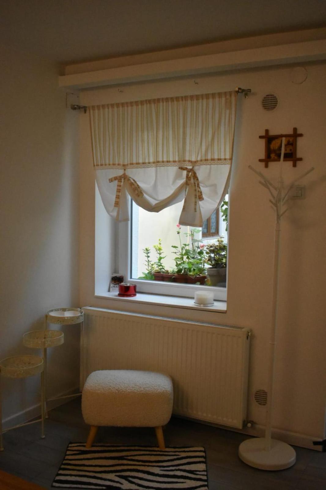 Anna'S Guesthouse Kluż-Napoka Zewnętrze zdjęcie